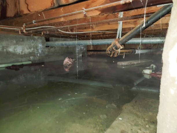 Best Commercial water damage restoration  in Oviedo, FL