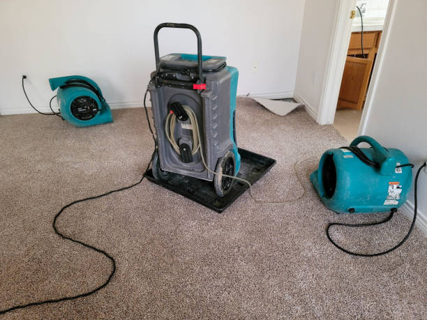Best Water damage contractors near me  in Oviedo, FL