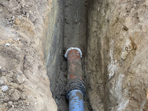 Best Sewage cleanup and water damage restoration  in Oviedo, FL