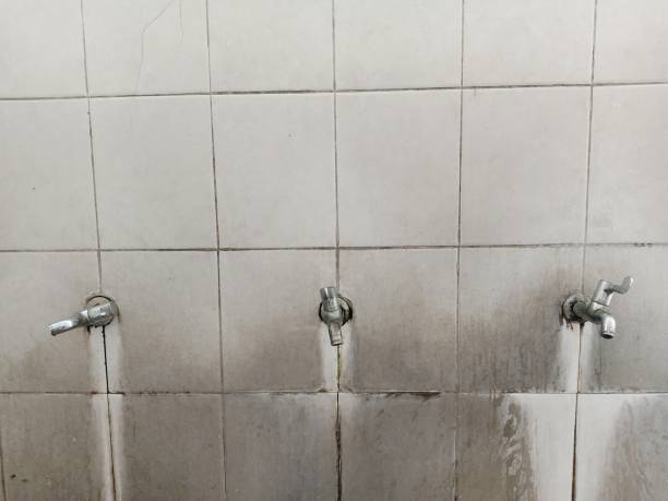 24/7 water damage repair in Oviedo, FL