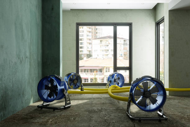 Sewage cleanup and water damage restoration in Oviedo, FL